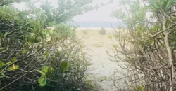 Terrain de 22 723 M2 plat avec 130m façade sur plage situé à 14KM après Foulpointe